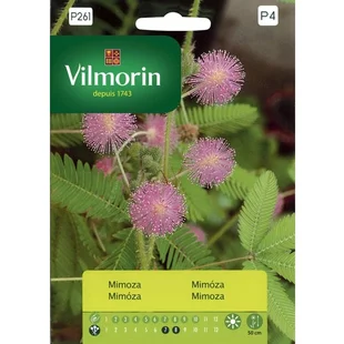 Vilmorin Mimóza semiačka 0.8 g