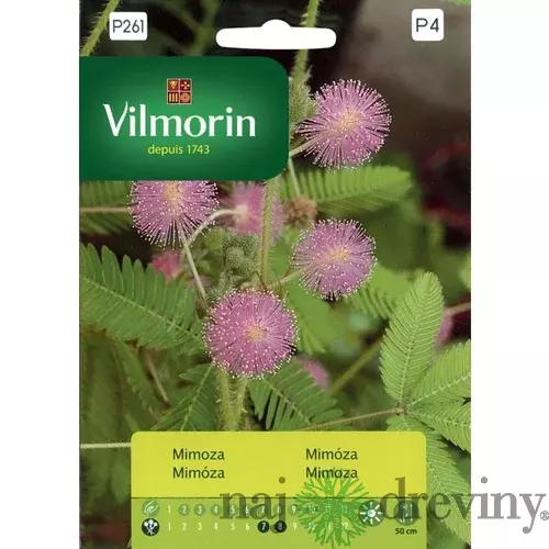 Vilmorin Mimóza semiačka 0.8 g