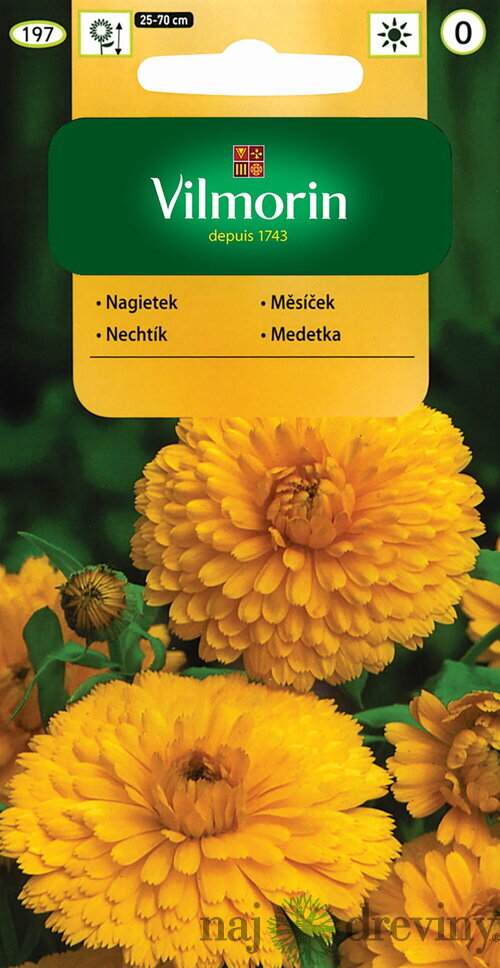 Vilmorin Nechtík lekársky semiačka 1 g