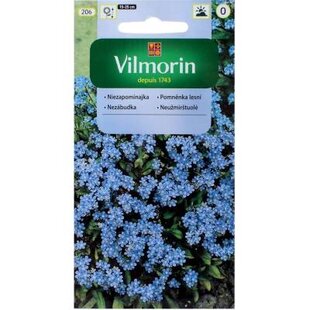 Vilmorin Nezábudka semiačka
