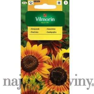 Vilmorin okrasná slnečnica ročná mix semiačka