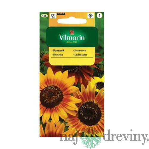 Vilmorin okrasná slnečnica ročná mix semiačka