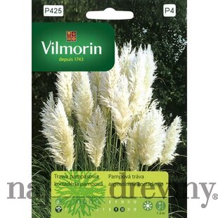 Vilmorin Pampová tráva biela semiačka 0.1 g