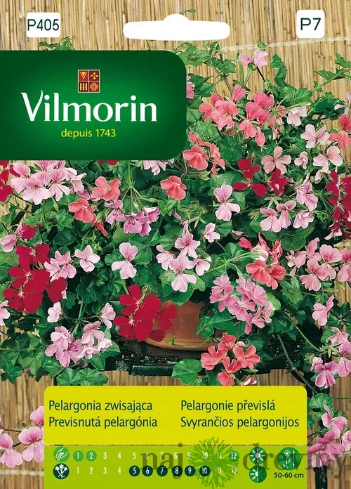 Vilmorin Pelargónia-muškát previsnutý mix semiačka 5 ks