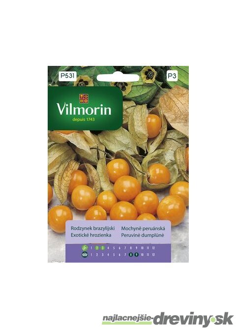 Vilmorin PREMIUM Exotické hrozienka 0,1 g