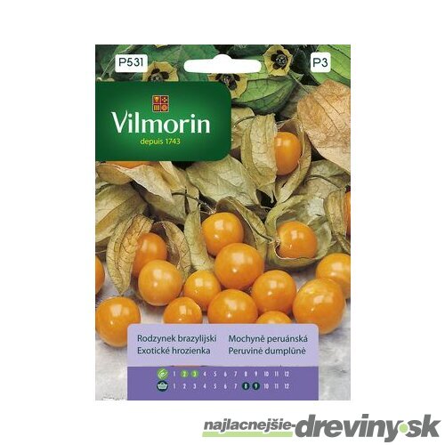 Vilmorin PREMIUM Exotické hrozienka 0,1 g