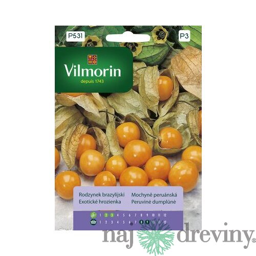 Vilmorin PREMIUM Exotické hrozienka 0,1 g
