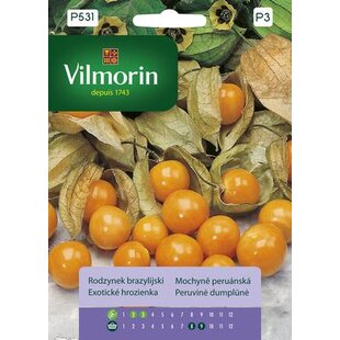 Vilmorin PREMIUM Exotické hrozienka 0,1 g