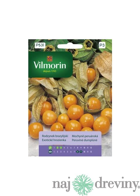 Vilmorin PREMIUM Exotické hrozienka 0,1 g