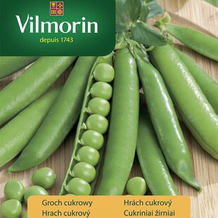 Vilmorin PREMIUM Hrach cukrový PREMIUM - skorý 30 g