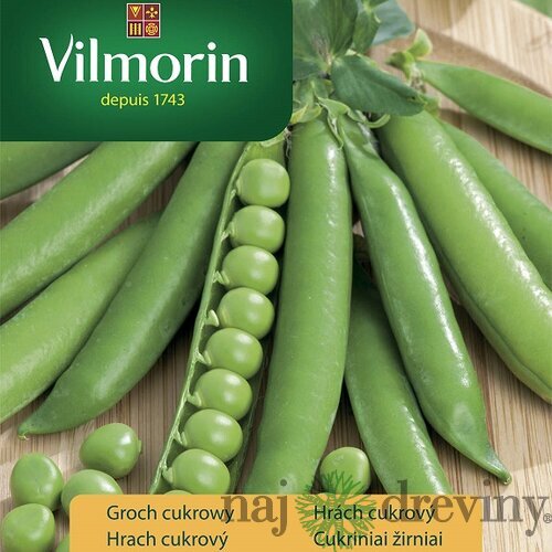 Vilmorin PREMIUM Hrach cukrový PREMIUM - skorý 30 g