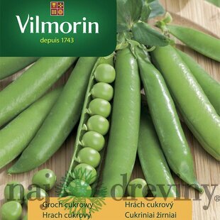 Vilmorin PREMIUM Hrach cukrový PREMIUM - skorý 30 g
