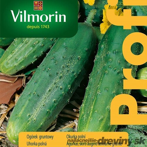 Vilmorin PREMIUM Uhorka poľná REGAL F1- skorá 15 z g