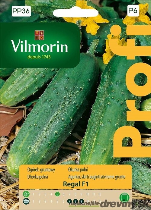 Vilmorin PREMIUM Uhorka poľná REGAL F1- skorá 15 z g