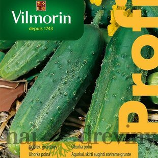 Vilmorin PREMIUM Uhorka poľná REGAL F1- skorá 15 z g