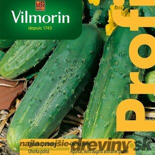 Vilmorin PREMIUM Uhorka poľná REGAL F1- skorá 15 z g