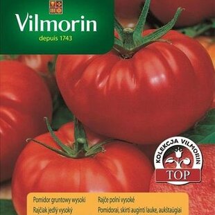 Vilmorin rajčiak Buffalosteak-Býčie srdce F1 10 ks (originál španielske)