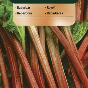 Vilmorin Rebarbora Victoria 0.2 g