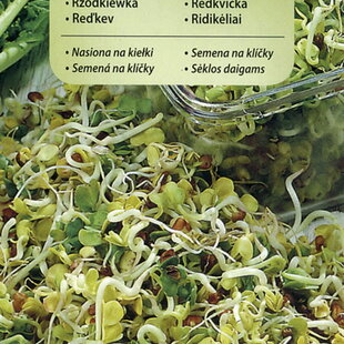 Vilmorin Reďkovka - semená na klíčky 20 g