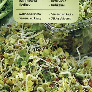 Vilmorin Reďkovka - semená na klíčky 20 g