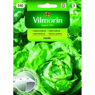 Vilmorin šalát Cassini na výsevnom pásiku 7 m