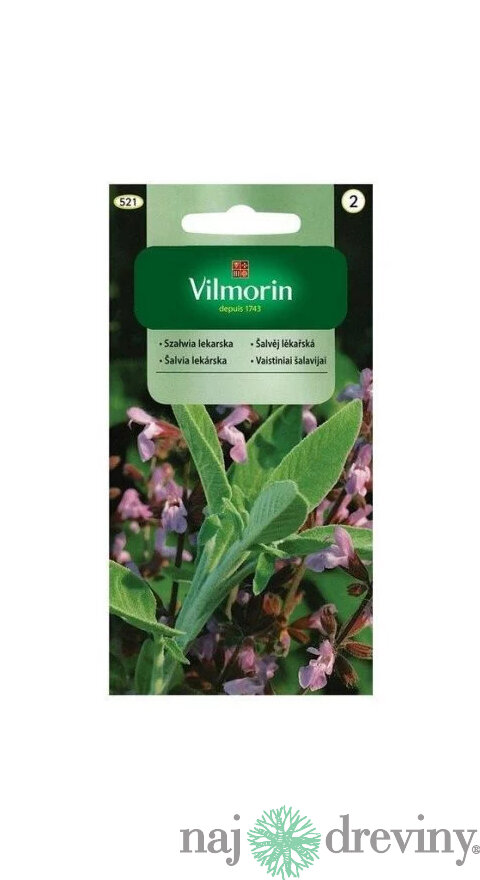 Vilmorin šalvia lekárska 1 g