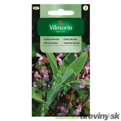 Vilmorin šalvia lekárska 1 g