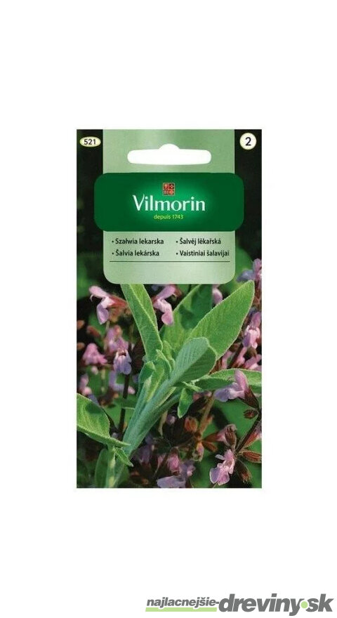 Vilmorin šalvia lekárska 1 g