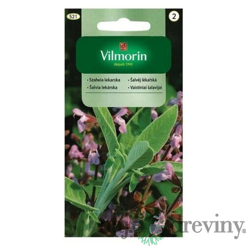 Vilmorin šalvia lekárska 1 g