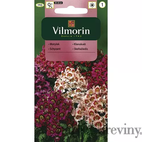 Vilmorin Schyzant semiačka