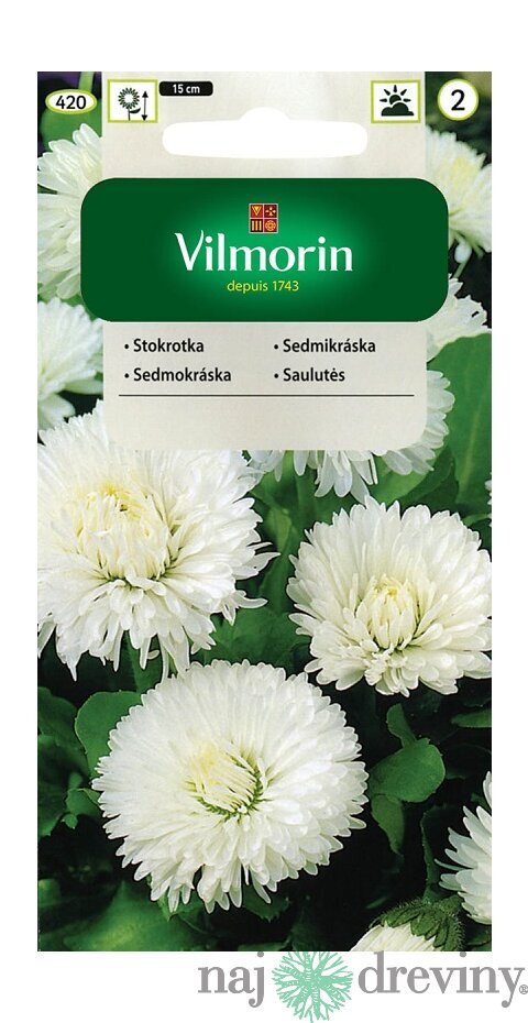 Vilmorin Sedmokráska obrovská Ave semiačka