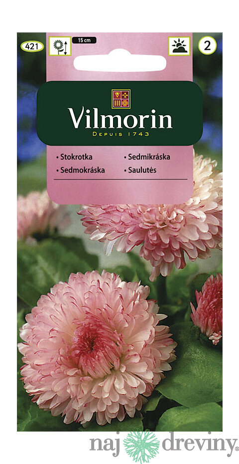 Vilmorin Sedmokráska obrovská Maria semiačka