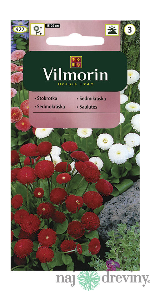 Vilmorin Sedmokráska popmonkovitá semiačka
