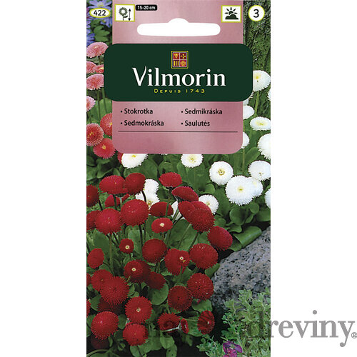 Vilmorin Sedmokráska popmonkovitá semiačka