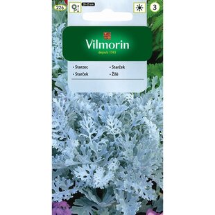 Vilmorin Starček prímorský semiačka