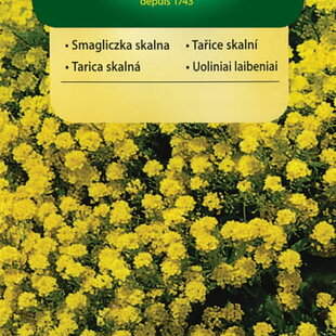 Vilmorin Tarica skalná semiačka