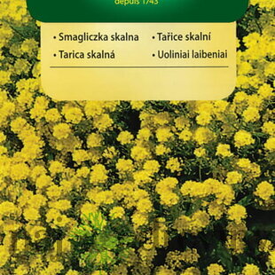 Vilmorin Tarica skalná semiačka