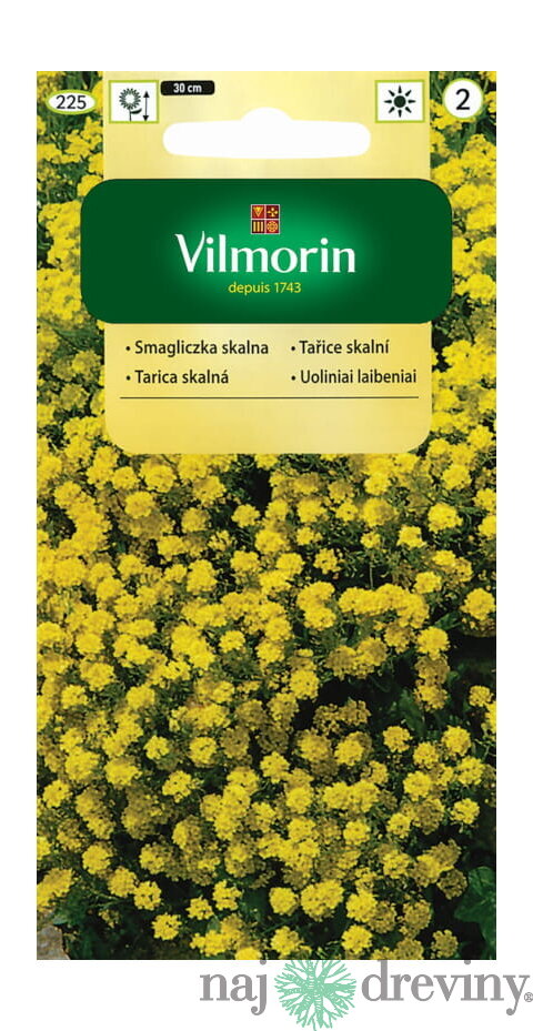 Vilmorin Tarica skalná semiačka