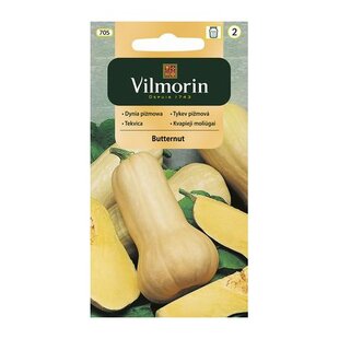 Vilmorin tekvica maslová Butternut 1 g