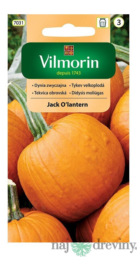 Vilmorin tekvica obrovská Jack O’lantern (Halloween) 2 g