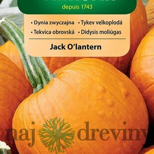 Vilmorin tekvica obrovská Jack O’lantern (Halloween) 2 g