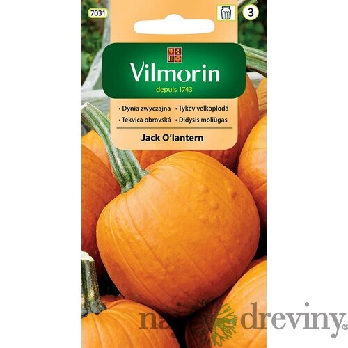 Vilmorin tekvica obrovská Jack O’lantern (Halloween) 2 g