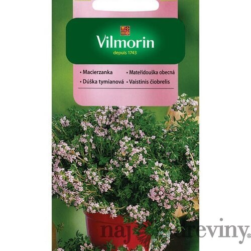 Vilmorin Tymián -dúška tymiánová 0.5 g