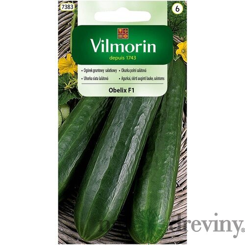 Vilmorin uhorka šalátová OBELIX F1 3 g