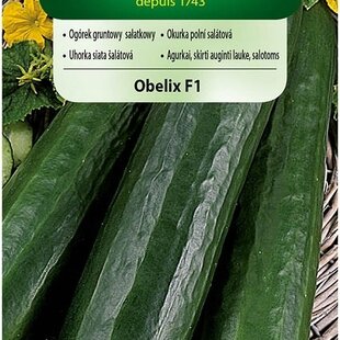 Vilmorin uhorka šalátová OBELIX F1 3 g