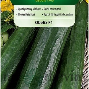 Vilmorin uhorka šalátová OBELIX F1 3 g