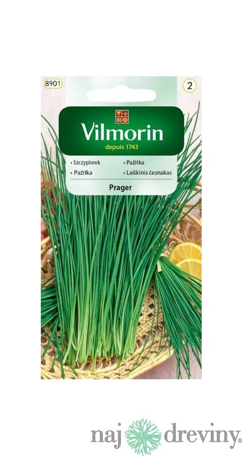 Vilmorin záhradná pažítka Dobre zimuje Prager 2g