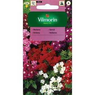 Vilmorin železník záhradný semiačka