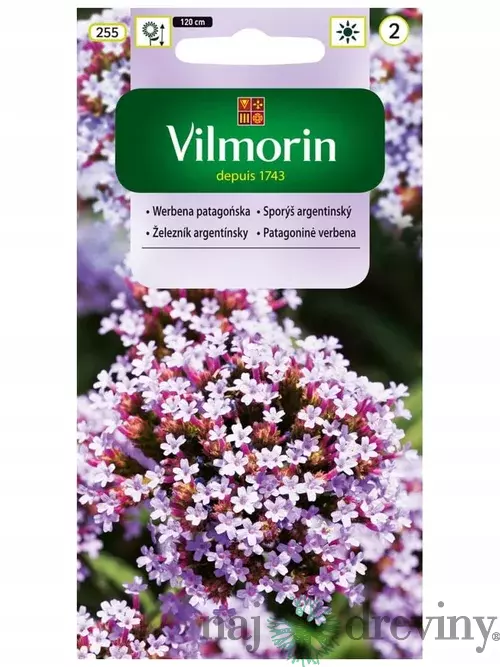 Vilmorin železník- zajačí chvost semiačka