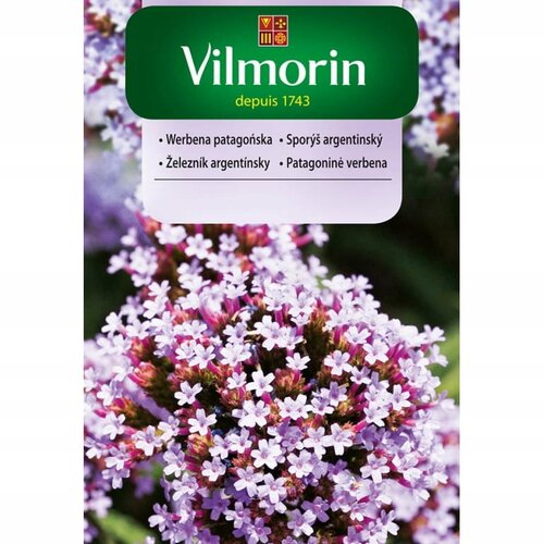 Vilmorin železník- zajačí chvost semiačka